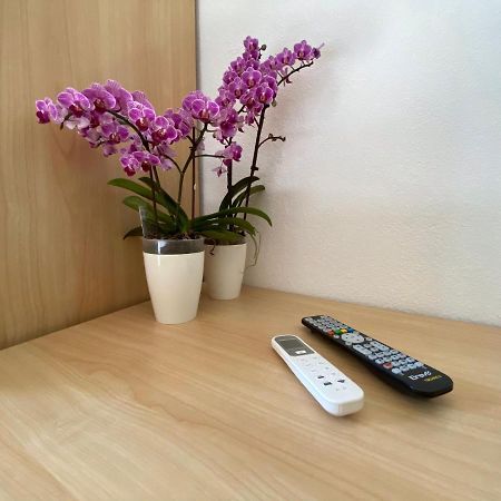 B&B Petite Maison Posada  Dış mekan fotoğraf